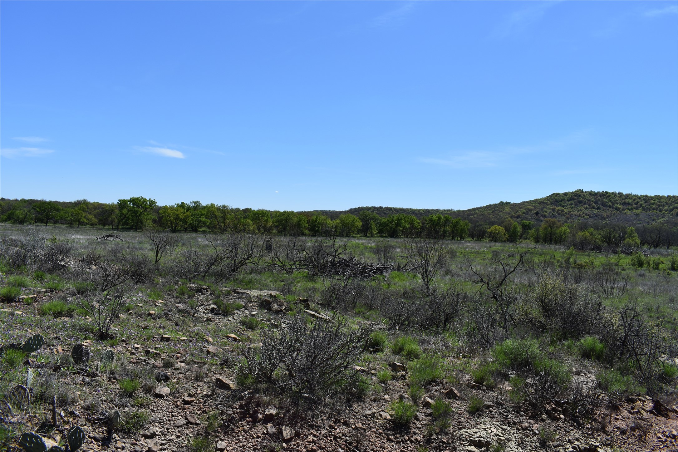 Tbd State Highway 148 Jacksboro TX 76458