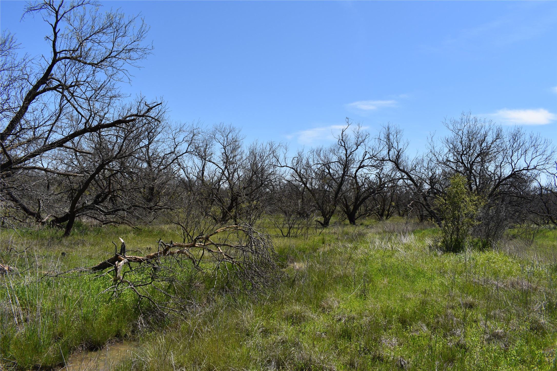 Tbd State Highway 148 Jacksboro TX 76458