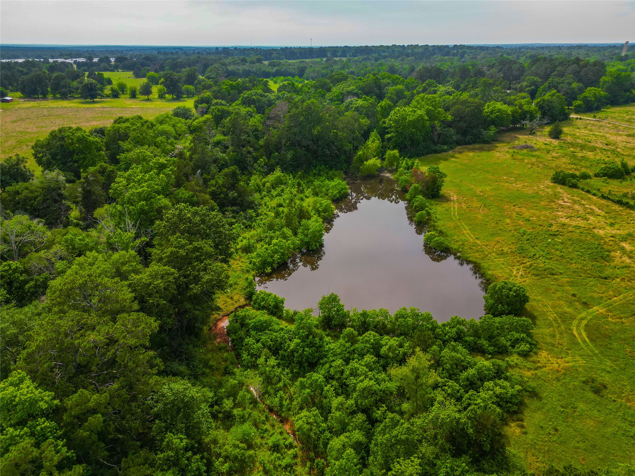 337 Cr 2751 Highway Wells TX 75969
