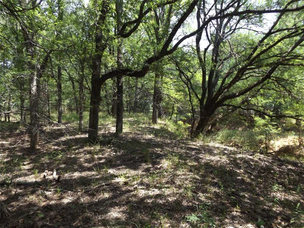 W. 34.1 Hoffman Road Loving TX 76460