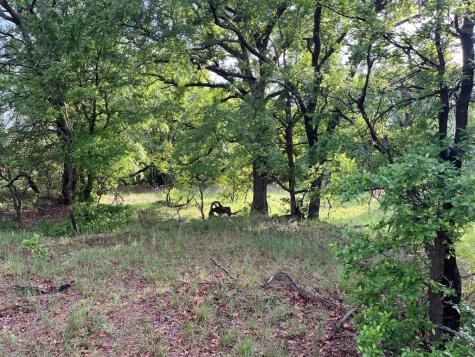 W. 34.1 Hoffman Road Loving TX 76460