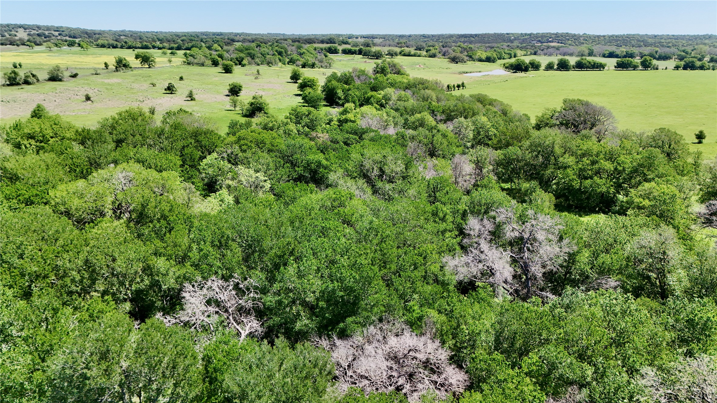 2031-C County Road 3310 Valley Mills TX 76689