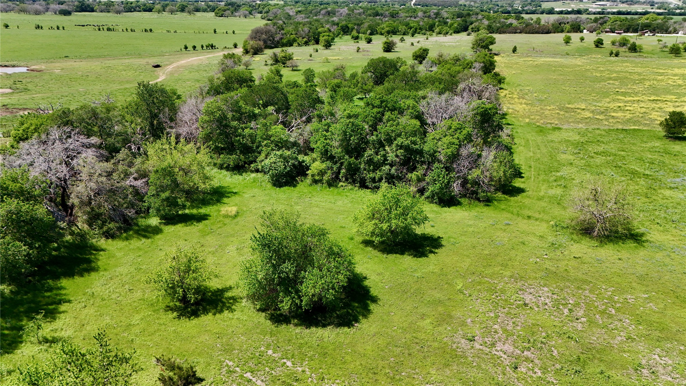 2031-C County Road 3310 Valley Mills TX 76689