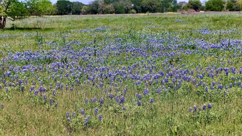 2031-C County Road 3310 Valley Mills TX 76689