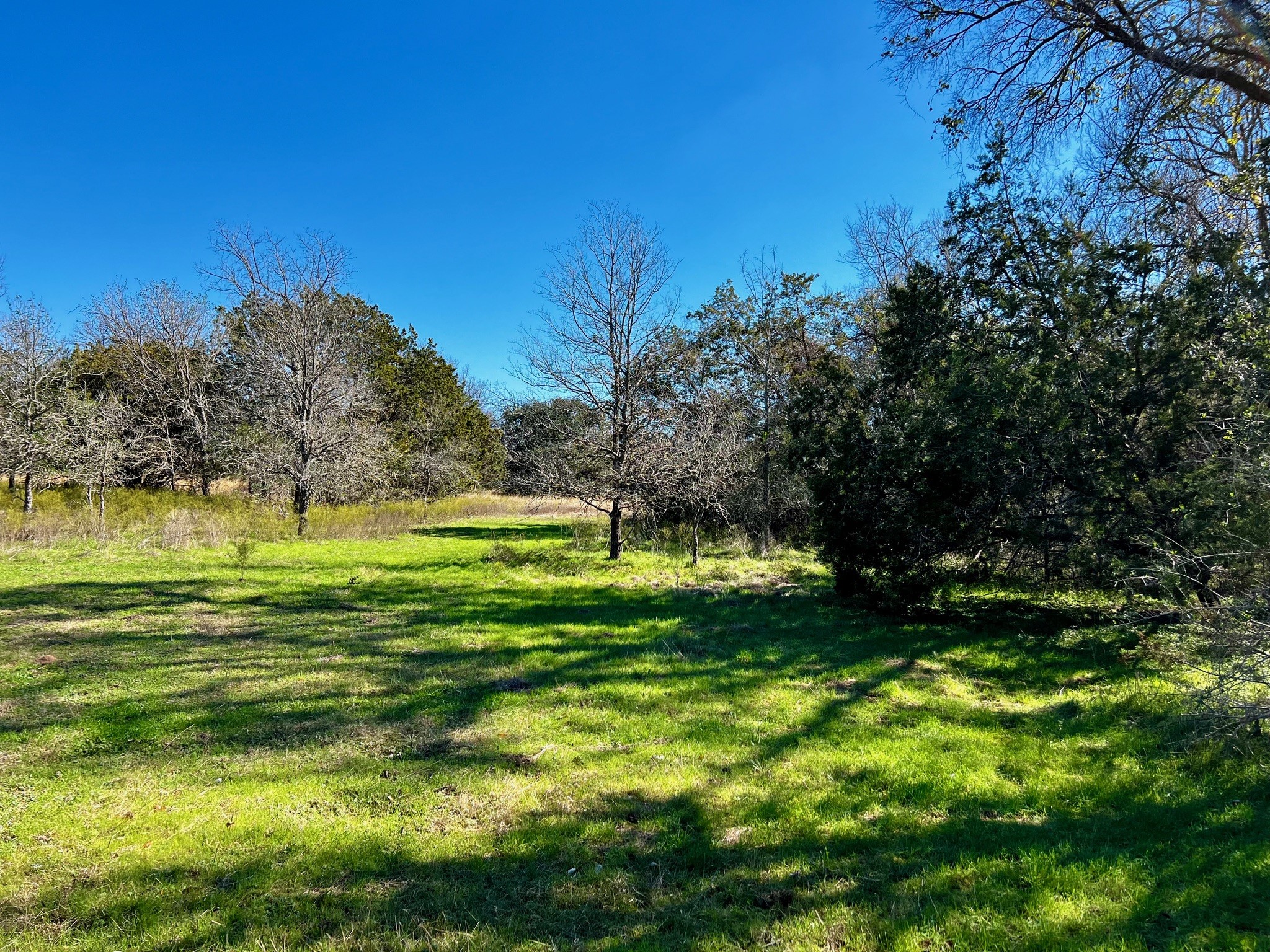 2031-C County Road 3310 Valley Mills TX 76689