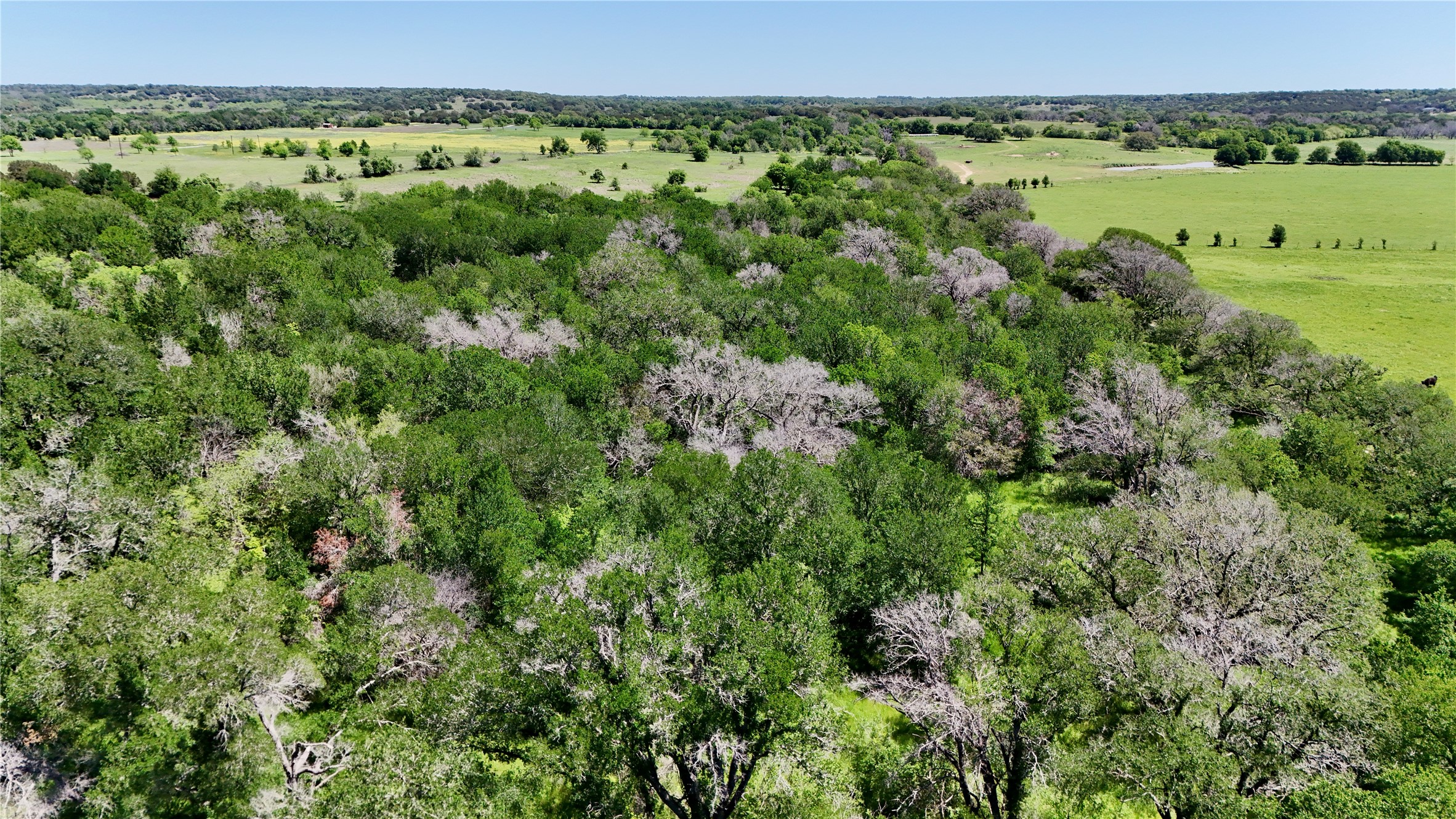 2031-C County Road 3310 Valley Mills TX 76689