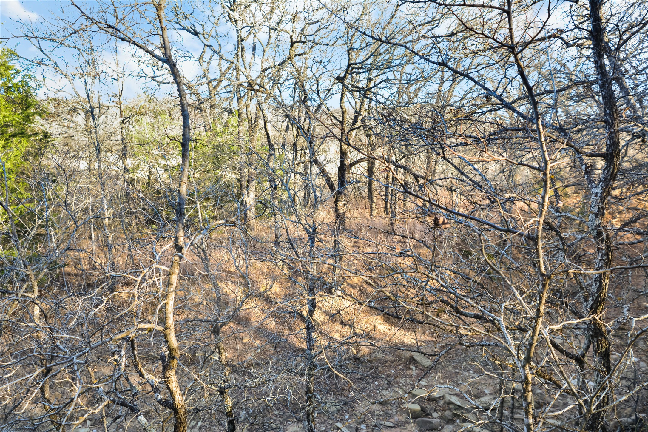 Lot 70 Silver Lakes Drive Sunset TX 76270