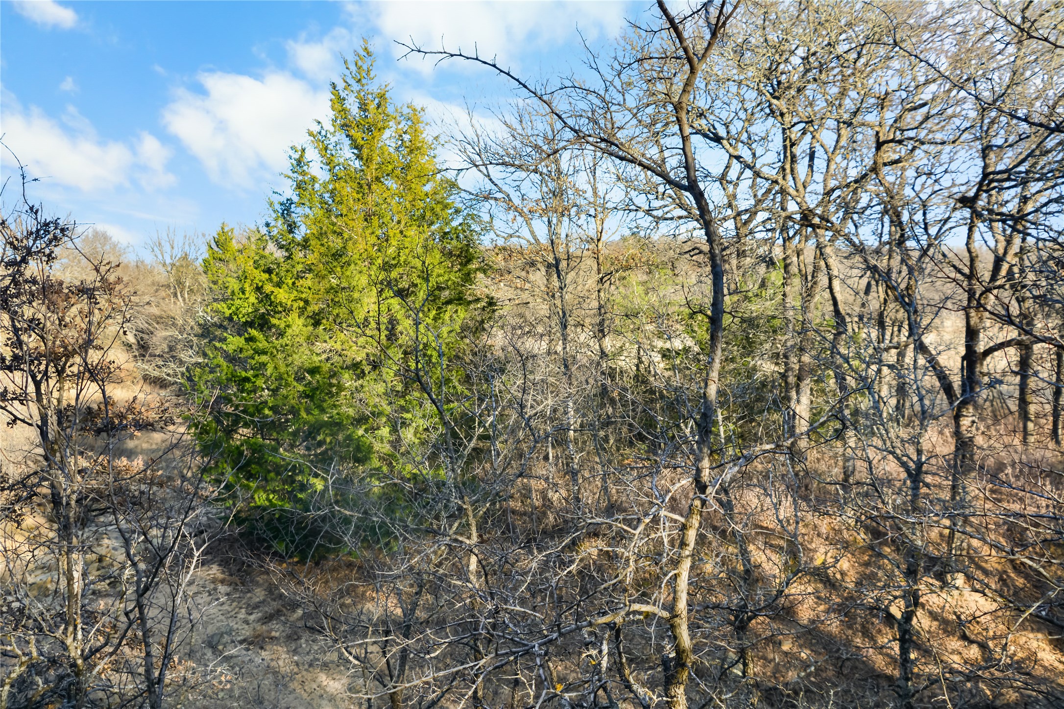 Lot 70 Silver Lakes Drive Sunset TX 76270