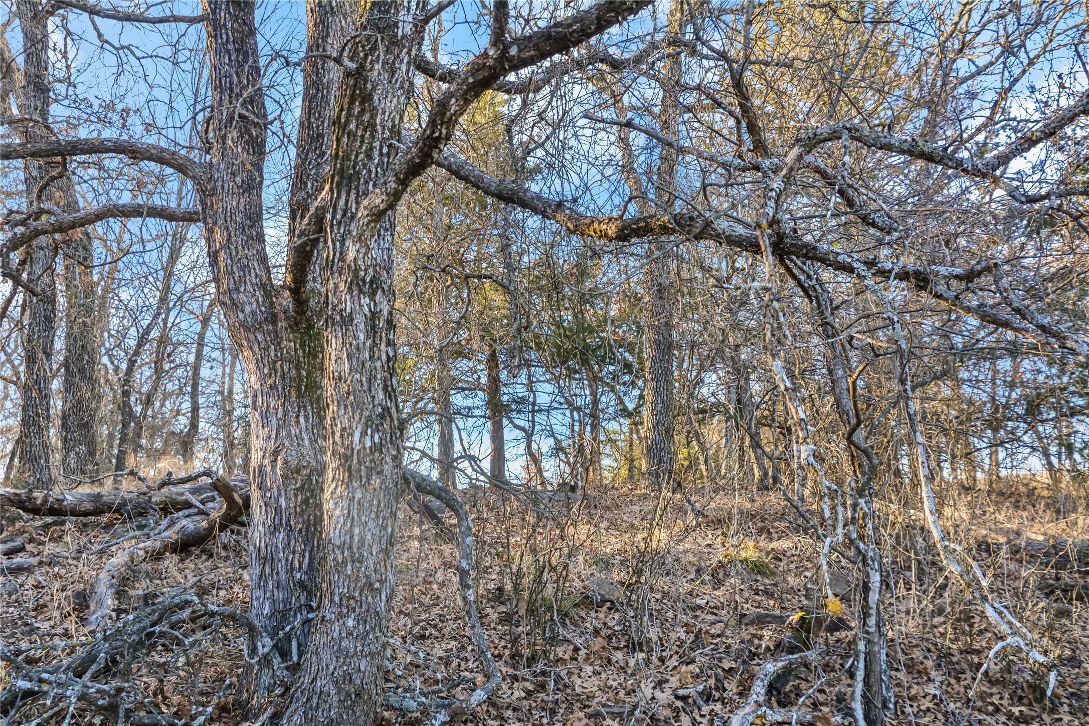 Lot 70 Silver Lakes Drive Sunset TX 76270