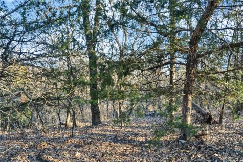 Lot 70 Silver Lakes Drive Sunset TX 76270