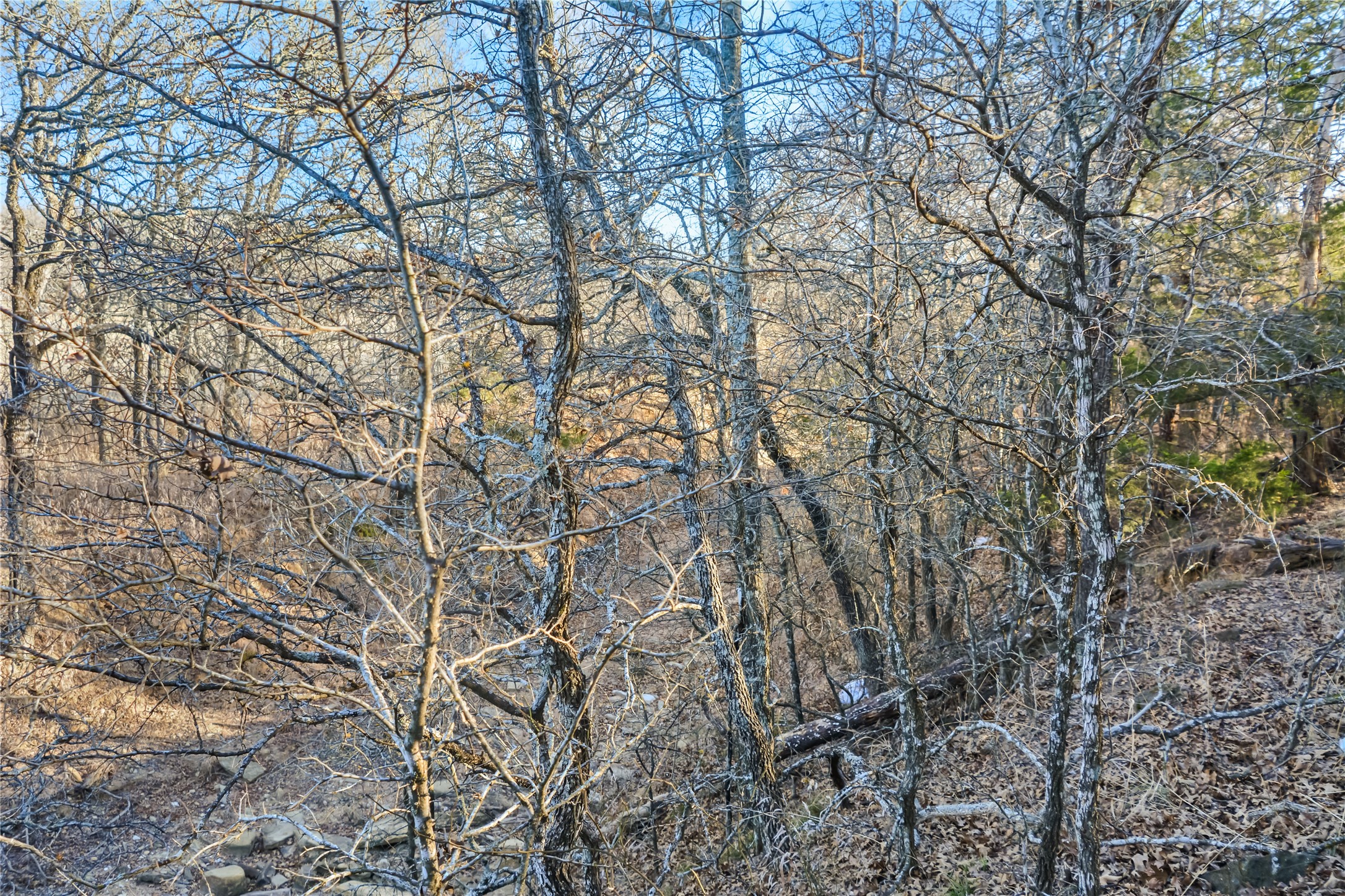 Lot 70 Silver Lakes Drive Sunset TX 76270