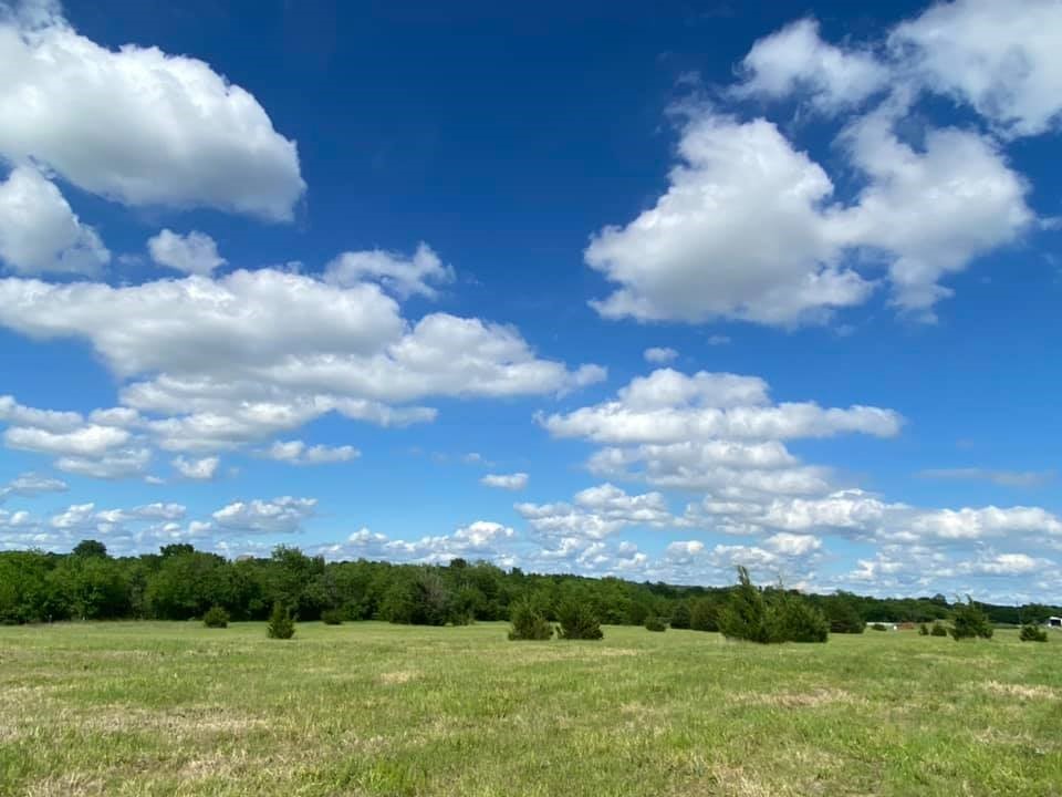 5656 County Road 1094 Celeste TX 75423