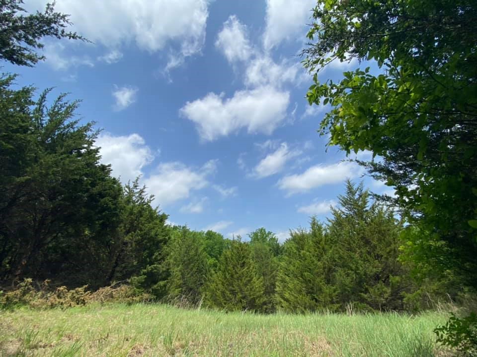 5656 County Road 1094 Celeste TX 75423