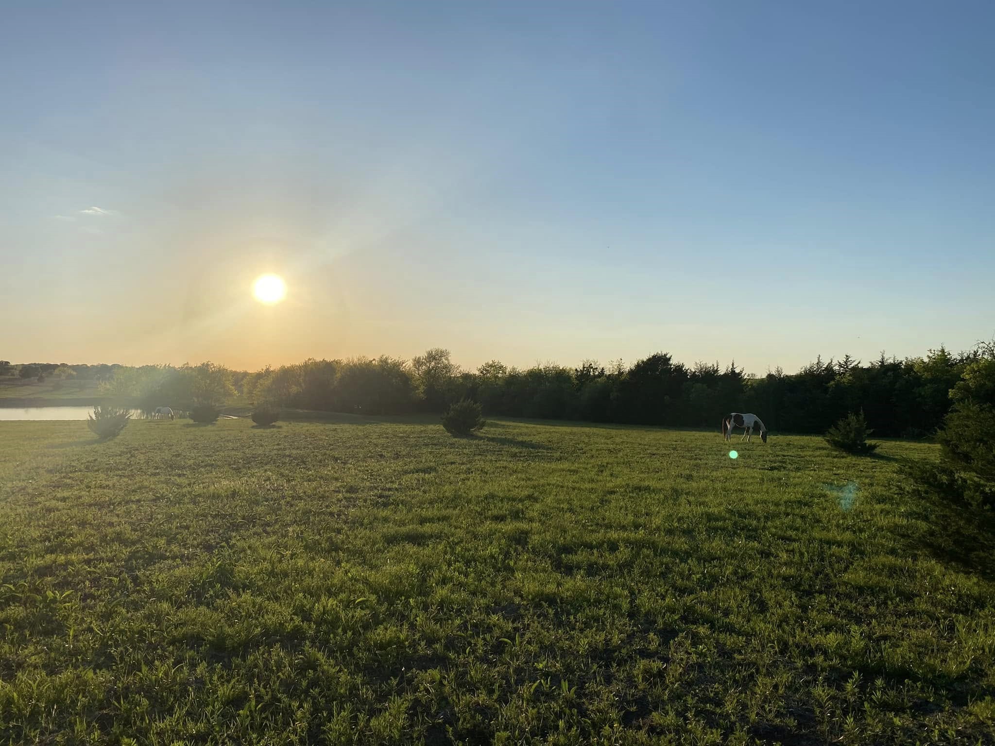 5656 County Road 1094 Celeste TX 75423