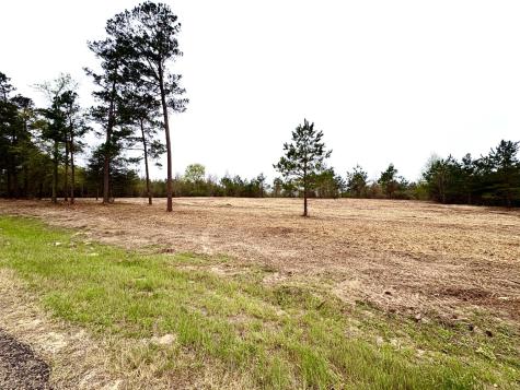 Tbd Fm 711 Center TX 75935
