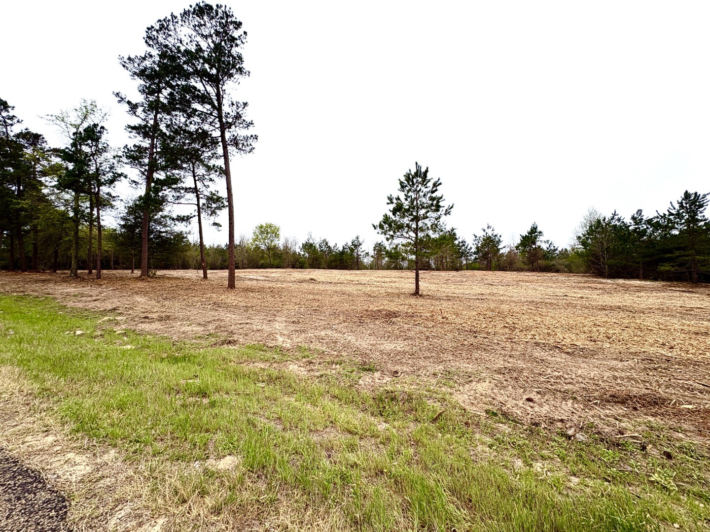 Tbd Fm 711 Center TX 75935