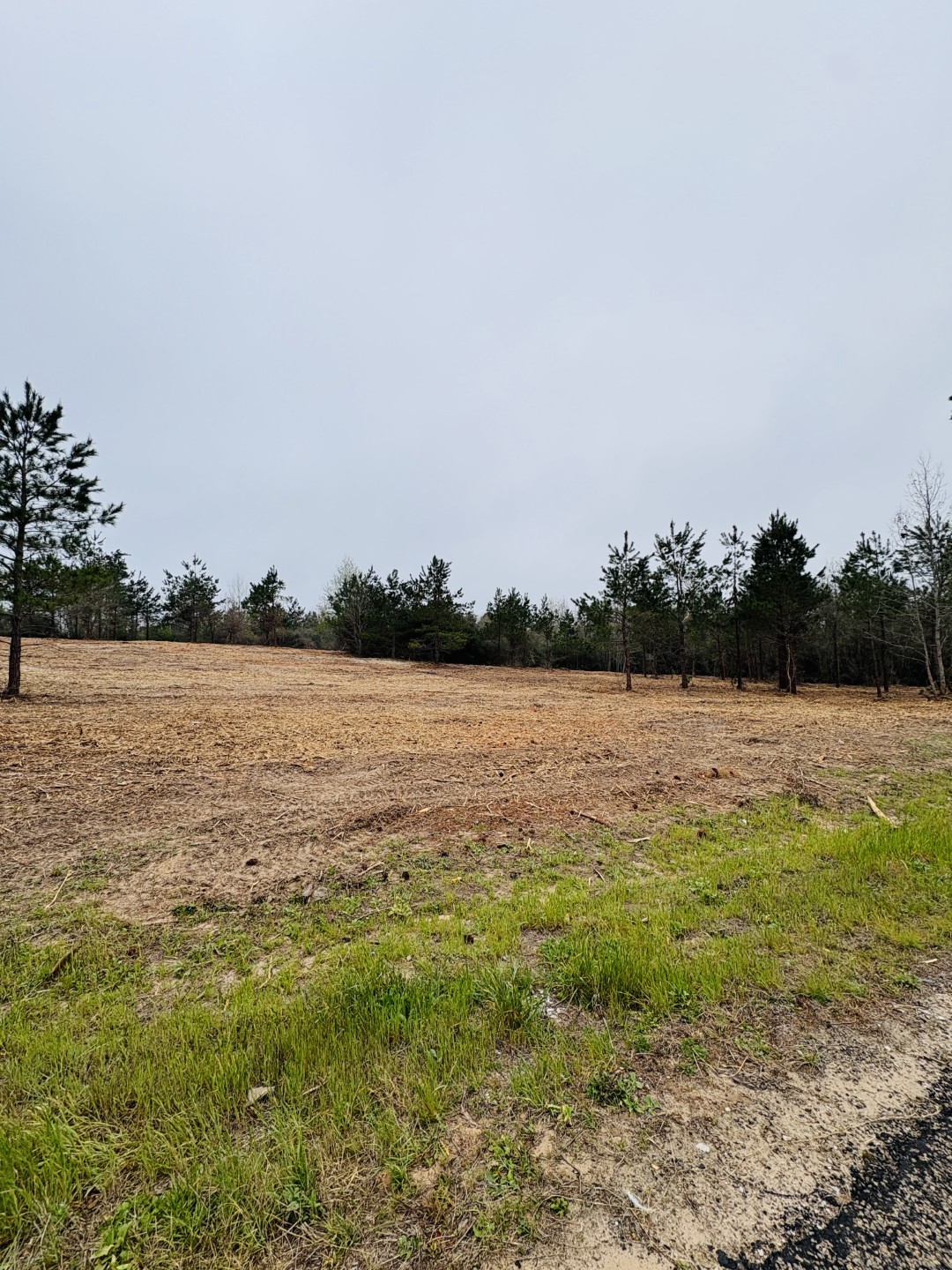Tbd Fm 711 Center TX 75935