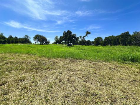 Lot 11 Carmel Valley Corsicana TX 75109