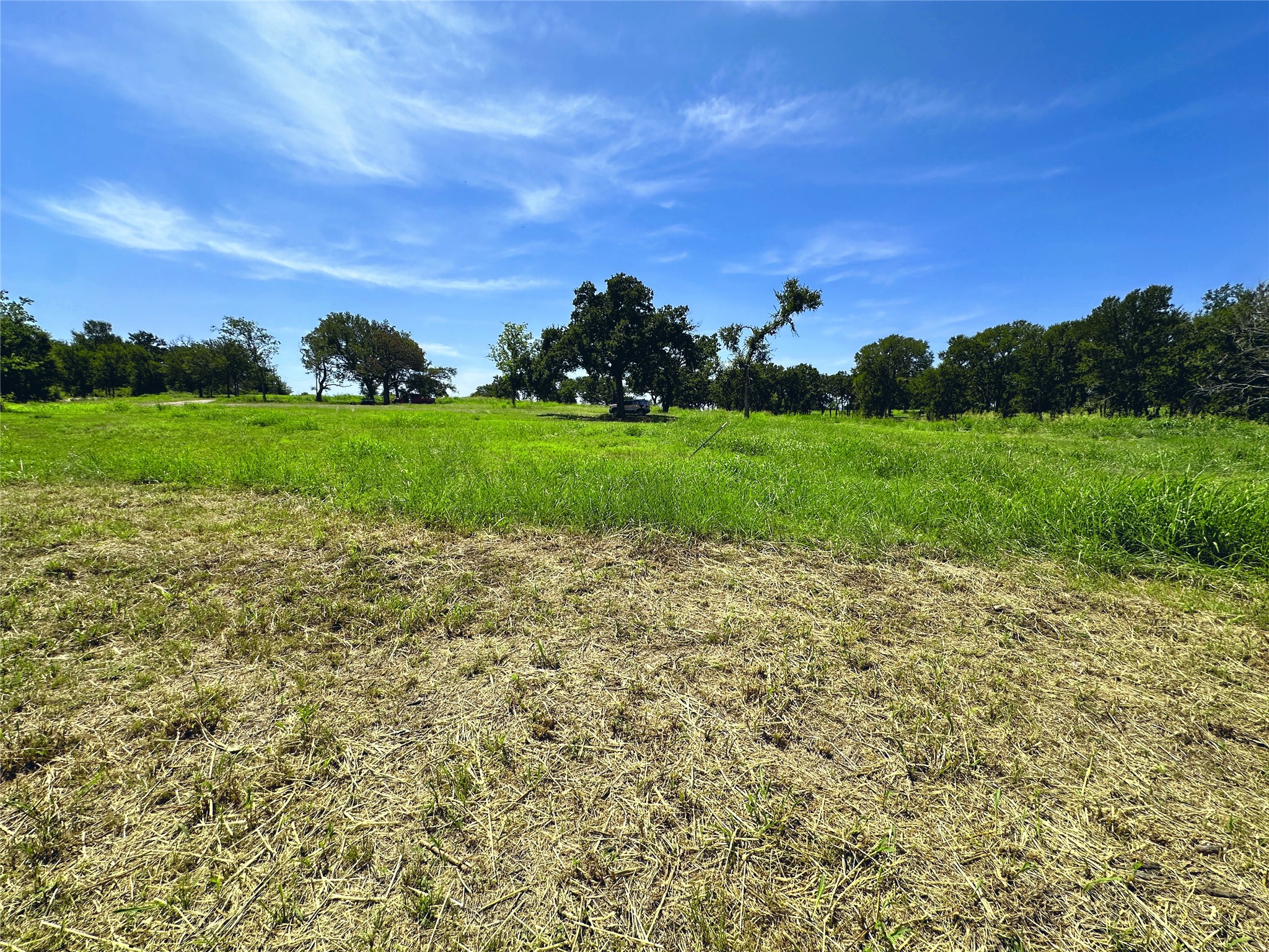 Lot 11 Carmel Valley Corsicana TX 75109