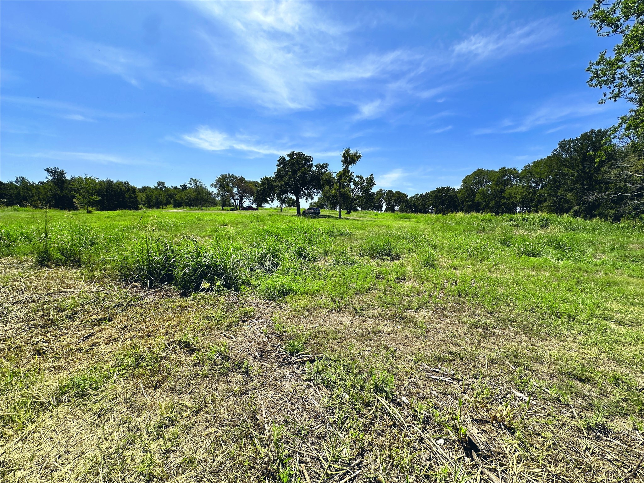 Lot 11 Carmel Valley Corsicana TX 75109