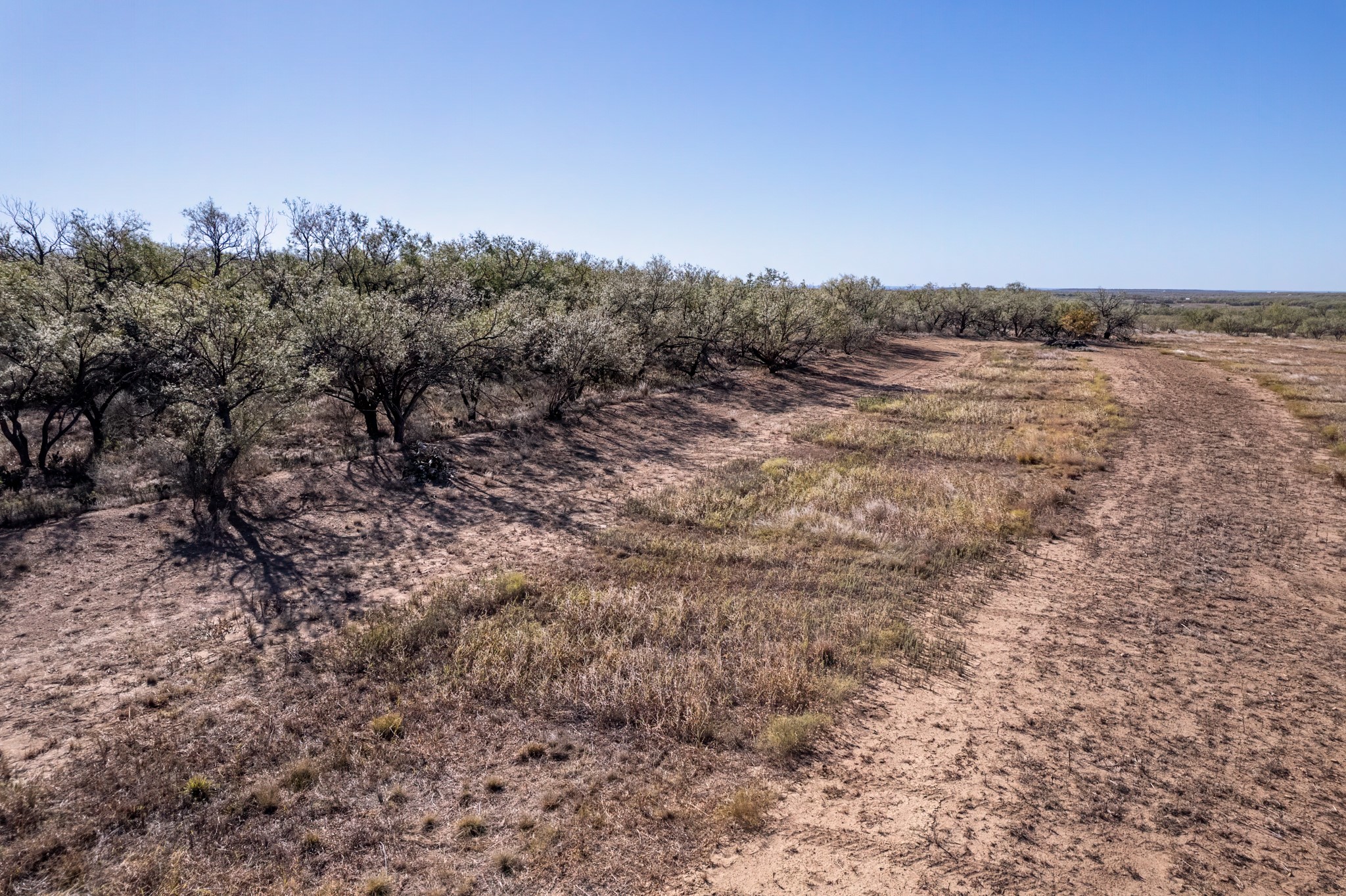 837 County Road 346 Coleman TX 76834