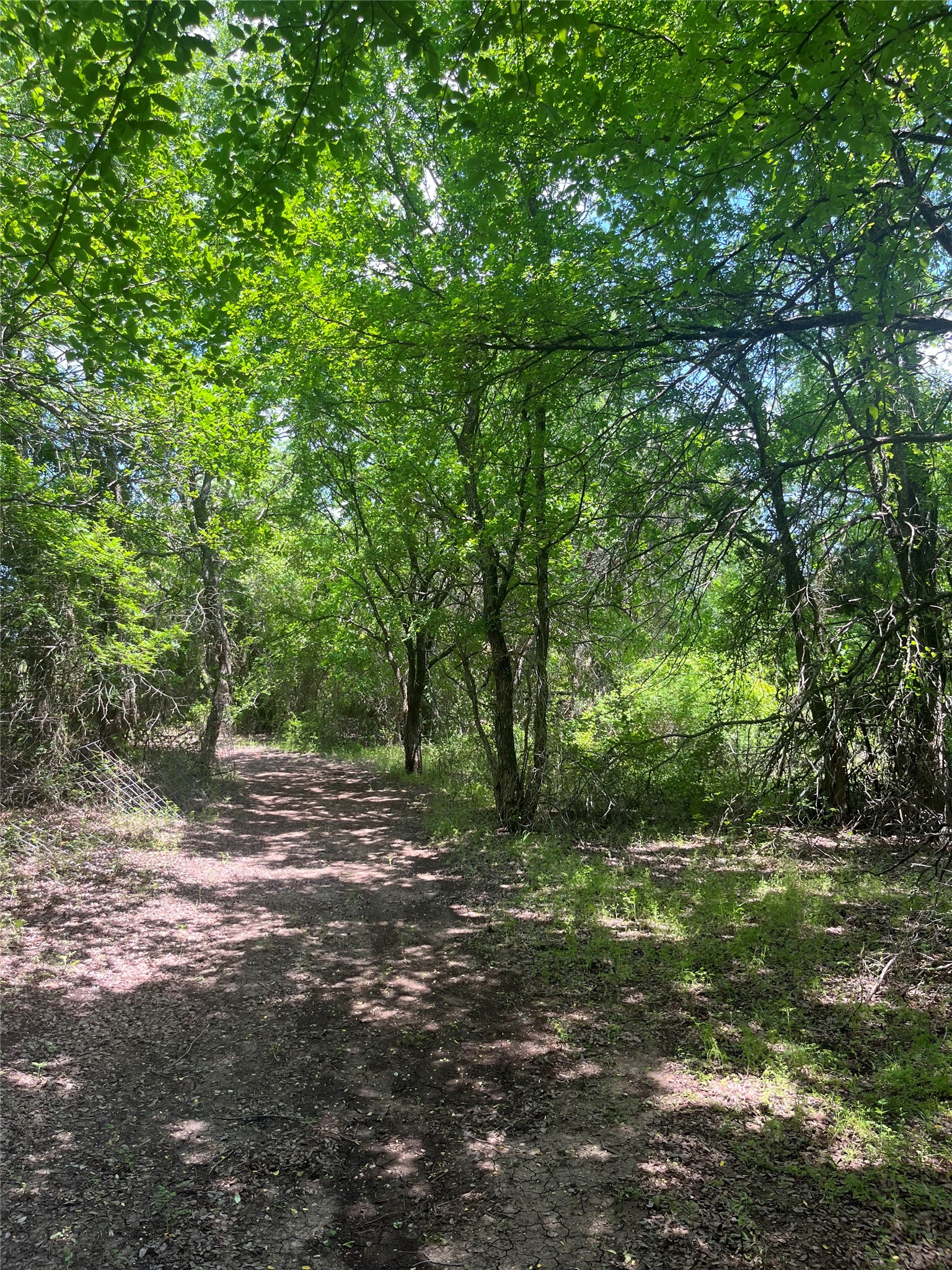 213 Pr 1743 B Clifton TX 76634