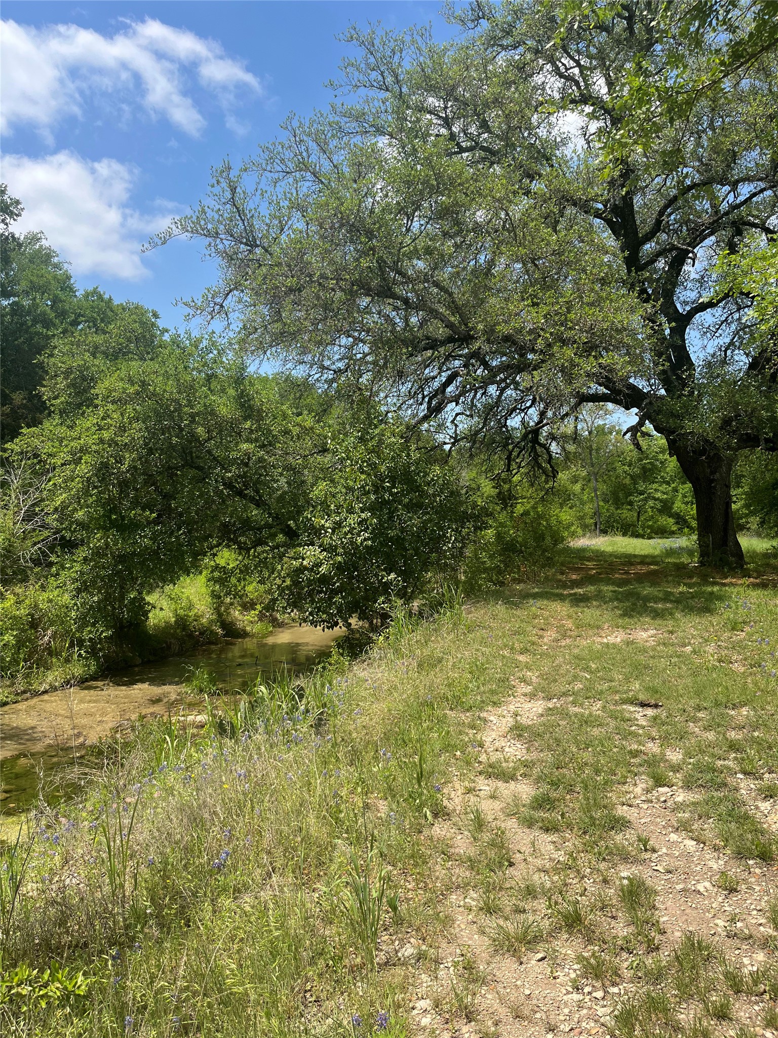 213 Pr 1743 B Clifton TX 76634