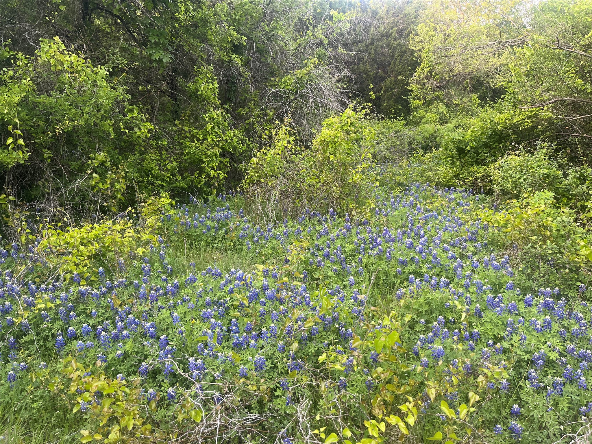 213 Pr 1743 B Clifton TX 76634