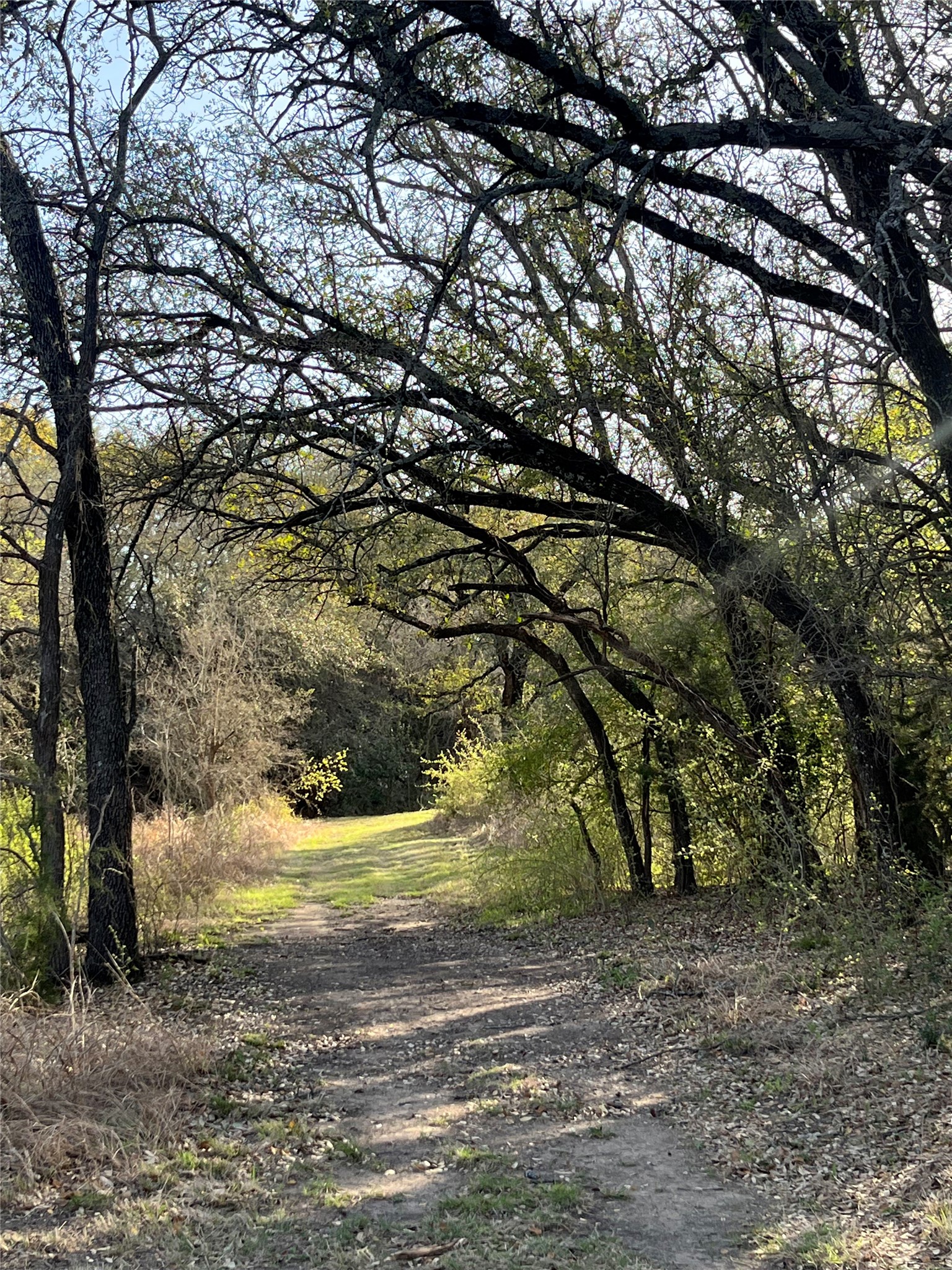 213 Pr 1743 B Clifton TX 76634
