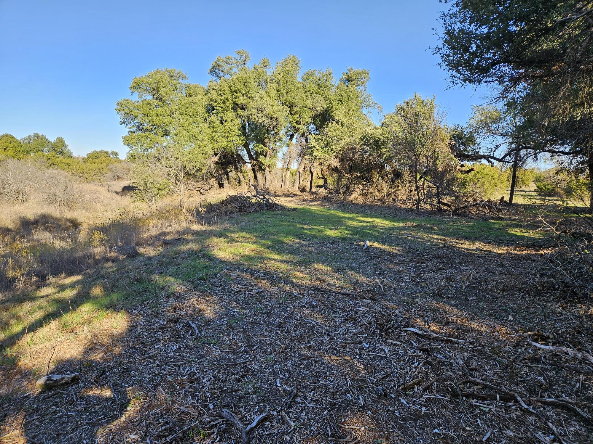442 Hollow Drive Lipan TX 76462