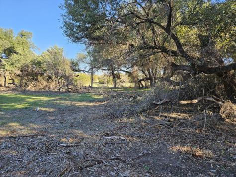 442 Hollow Drive Lipan TX 76462