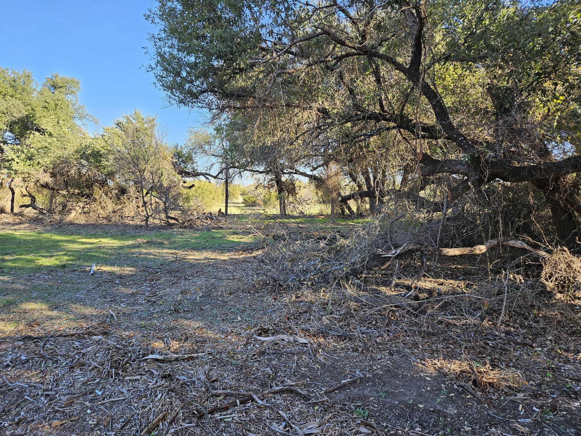 442 Hollow Drive Lipan TX 76462
