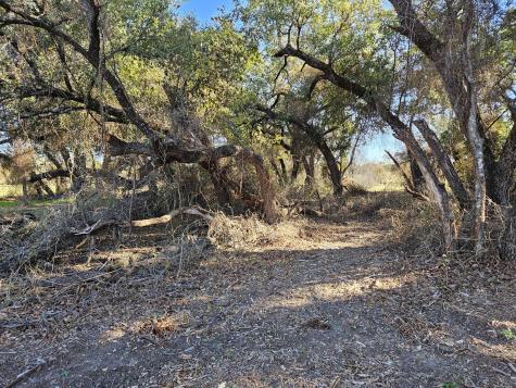 442 Hollow Drive Lipan TX 76462
