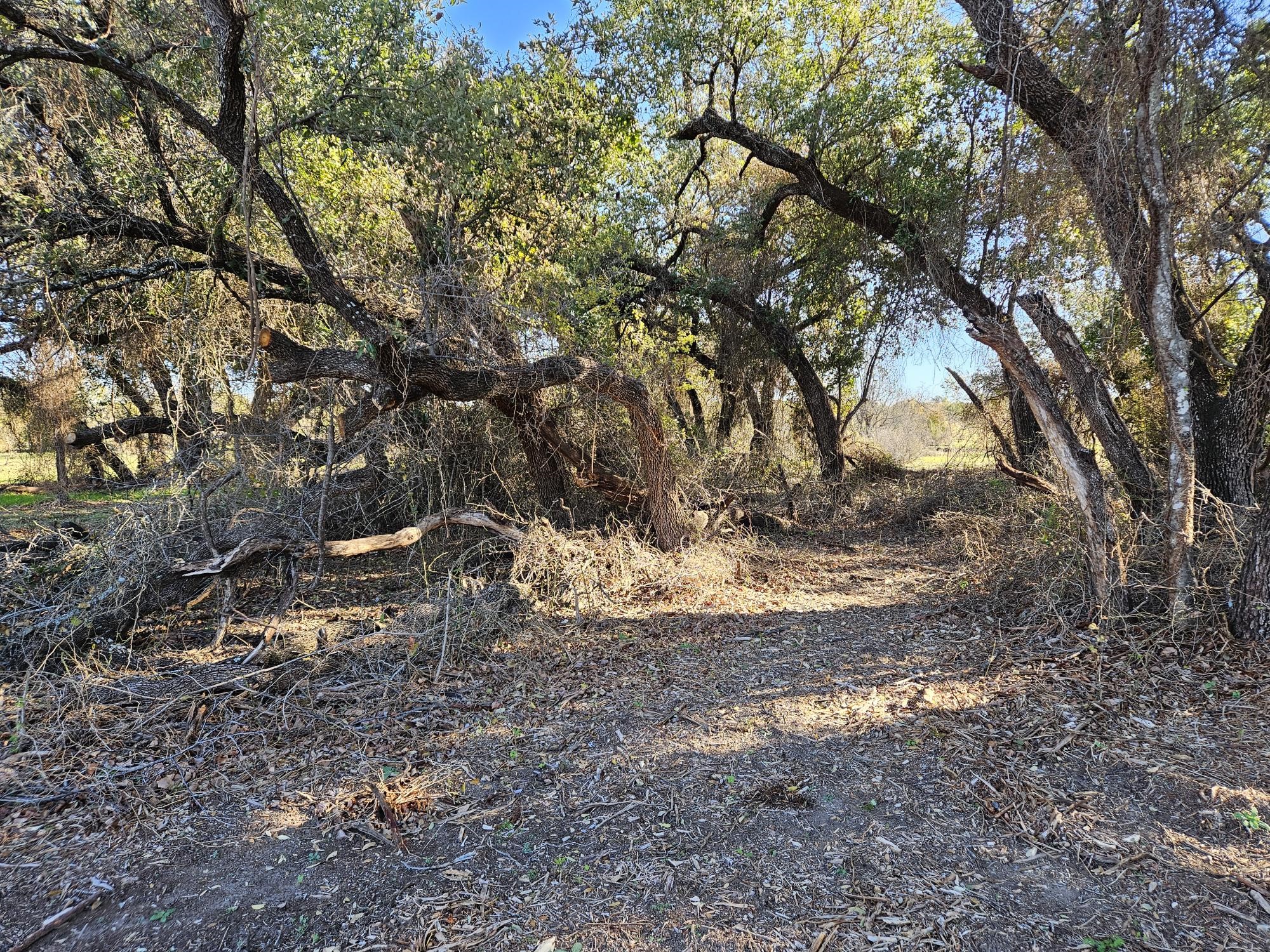442 Hollow Drive Lipan TX 76462