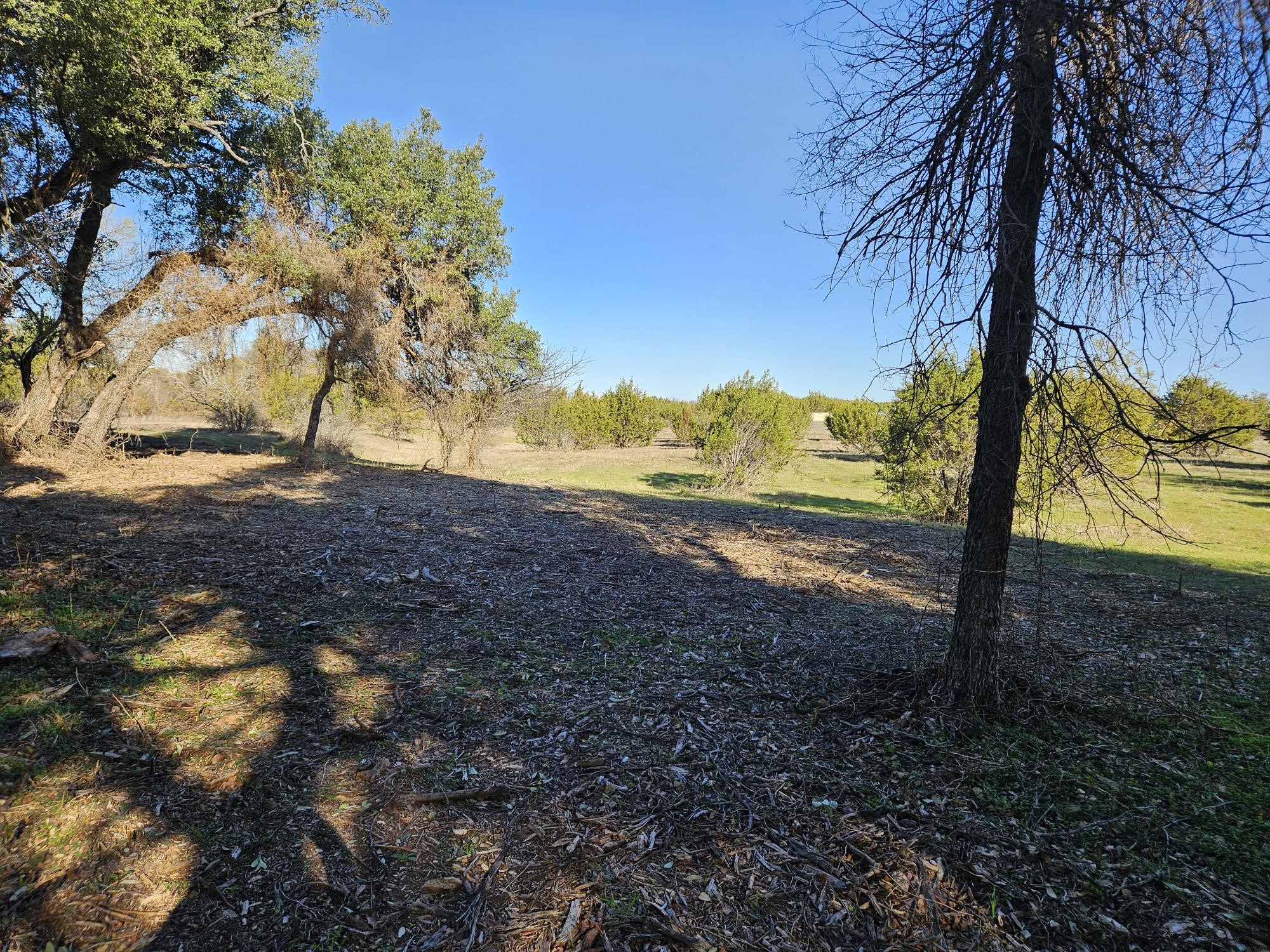 442 Hollow Drive Lipan TX 76462
