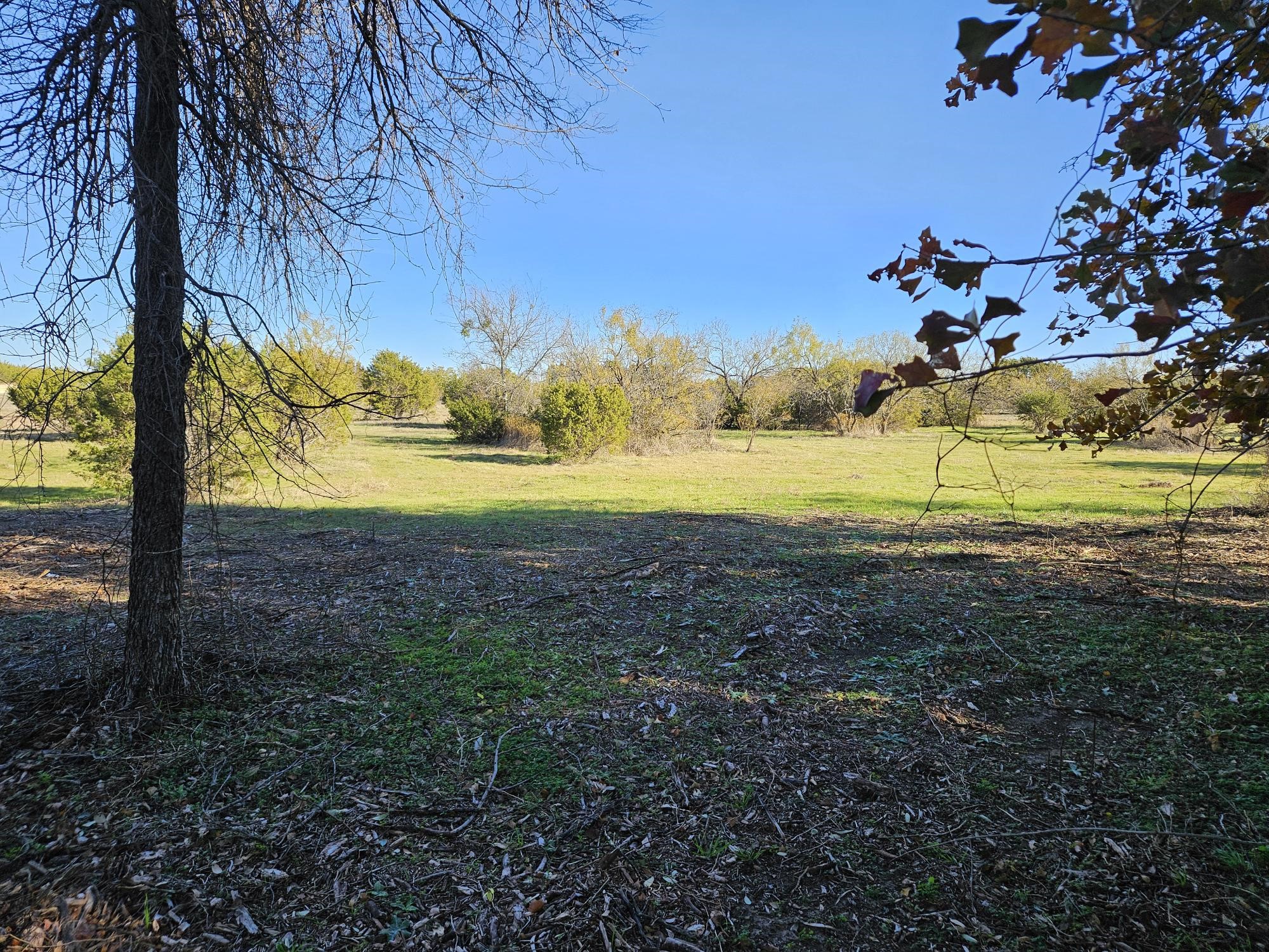 442 Hollow Drive Lipan TX 76462