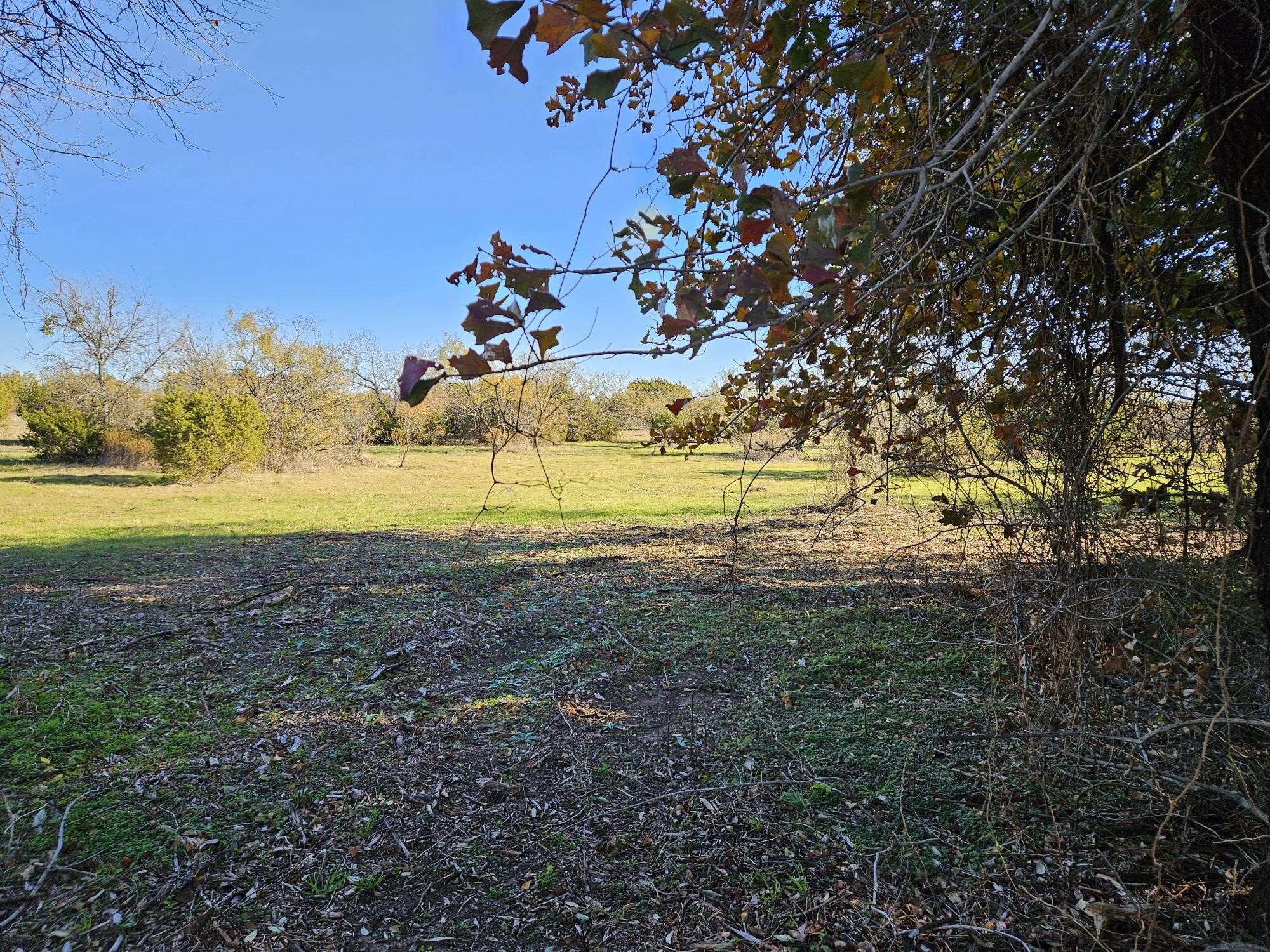442 Hollow Drive Lipan TX 76462