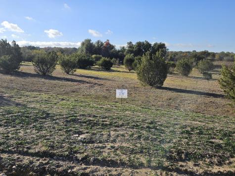 442 Hollow Drive Lipan TX 76462