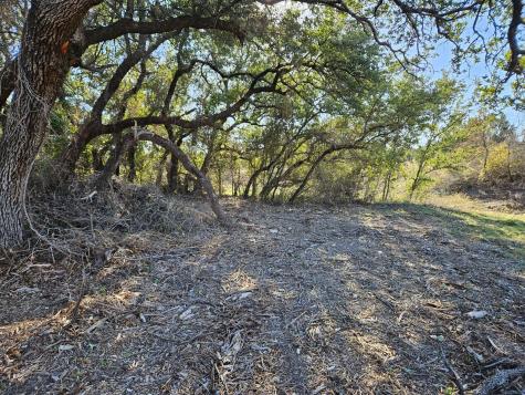 442 Hollow Drive Lipan TX 76462