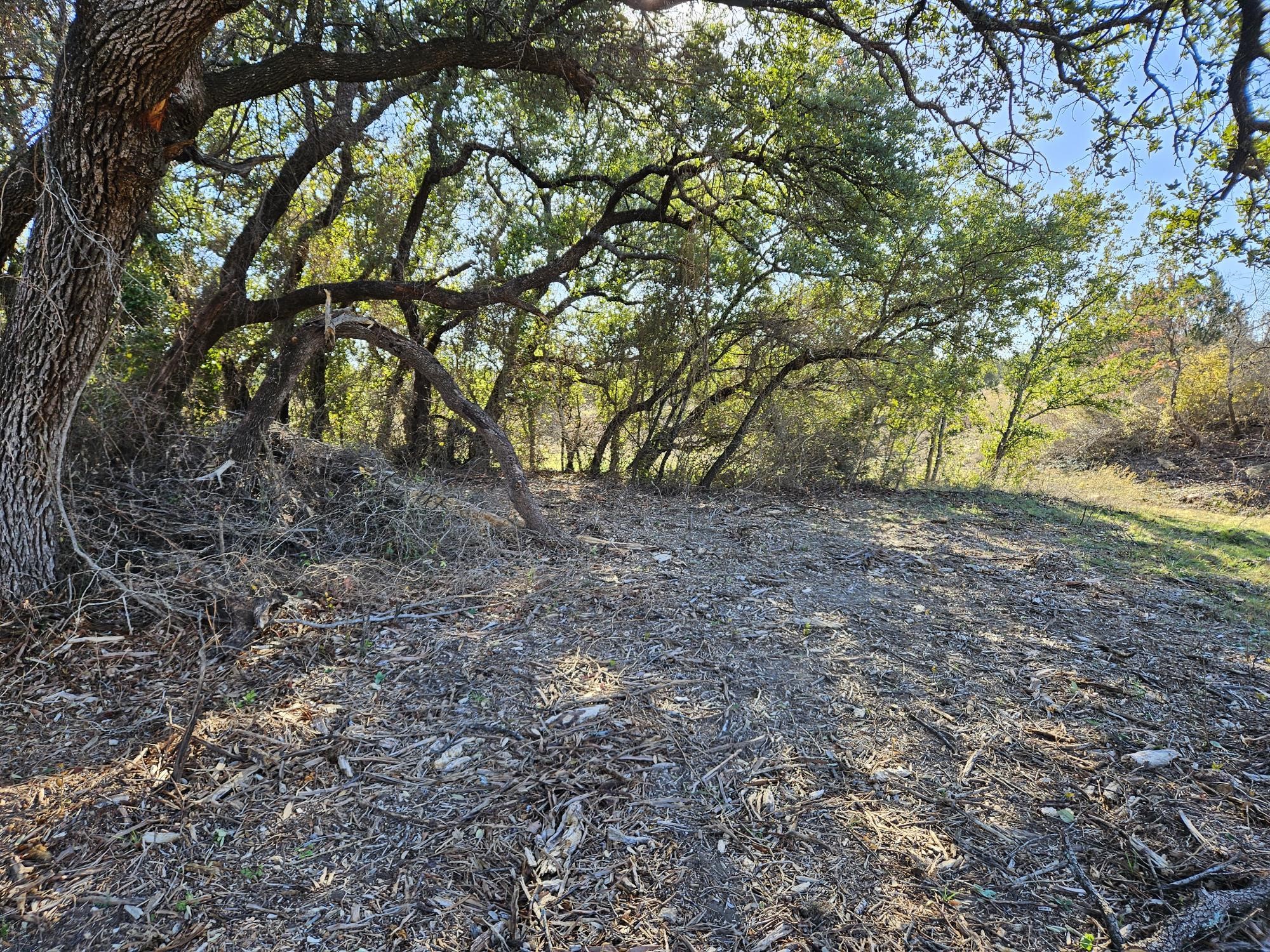 442 Hollow Drive Lipan TX 76462
