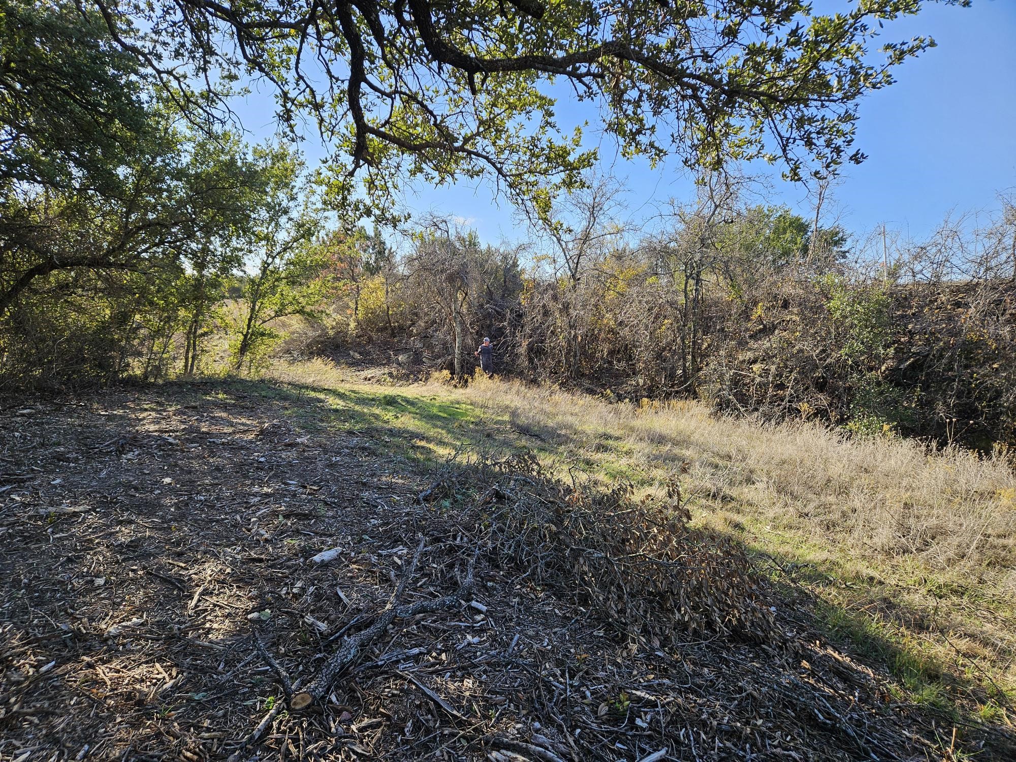 442 Hollow Drive Lipan TX 76462