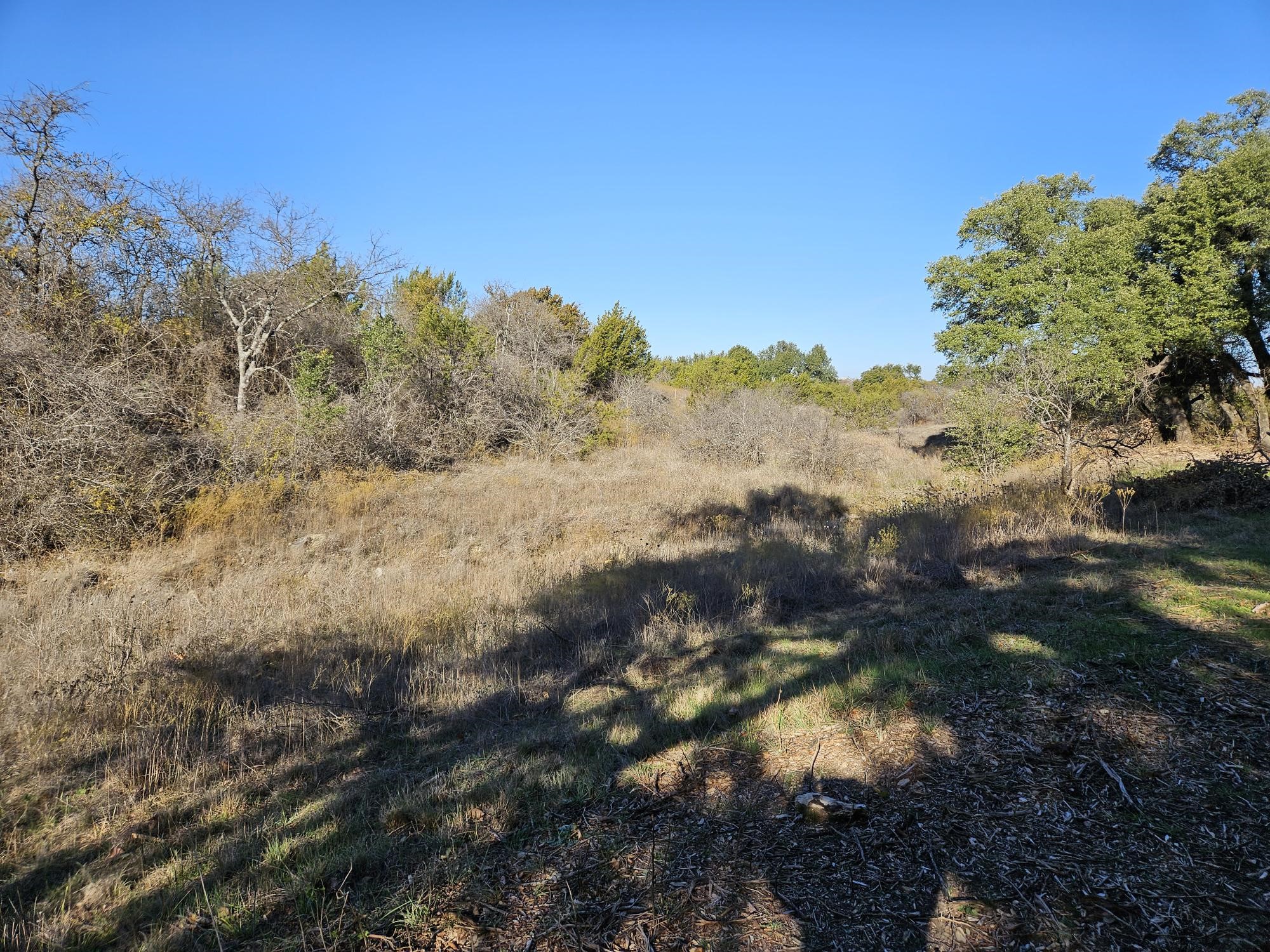 442 Hollow Drive Lipan TX 76462