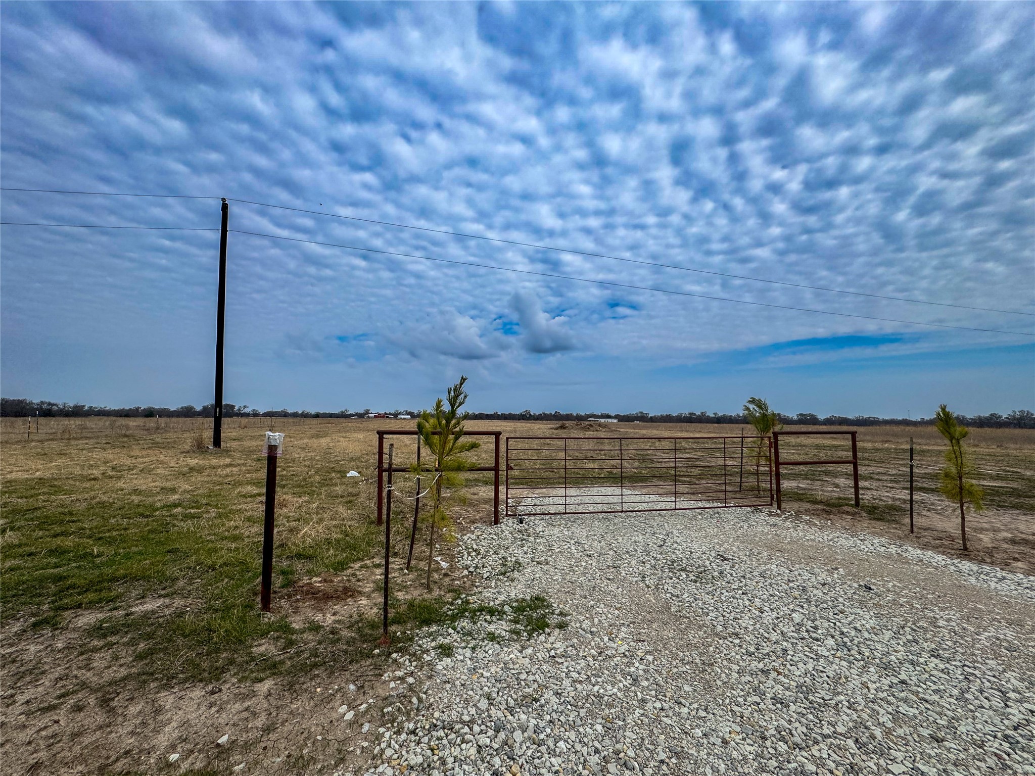 375 County Road 1515 Point TX 75472