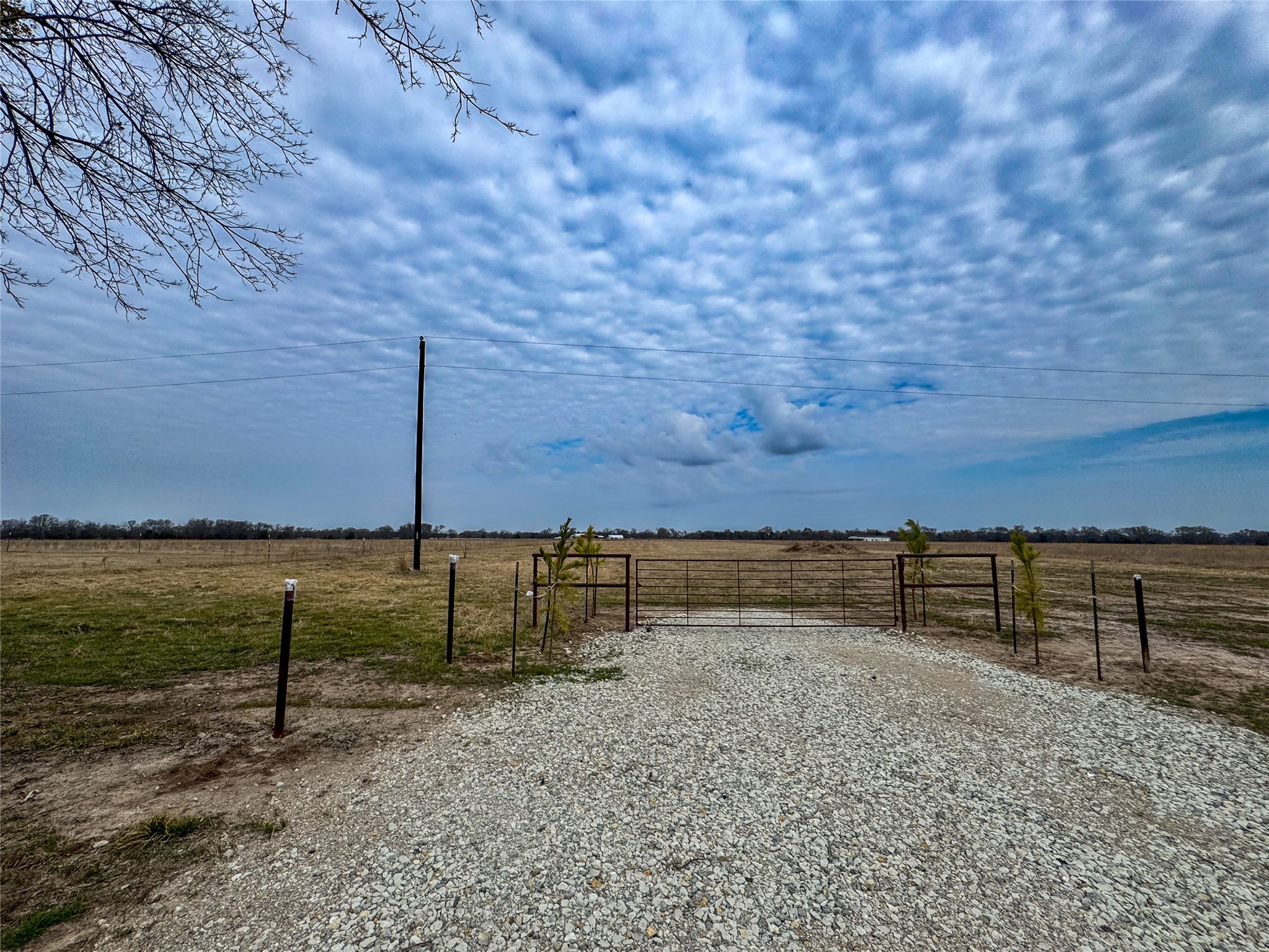 375 County Road 1515 Point TX 75472