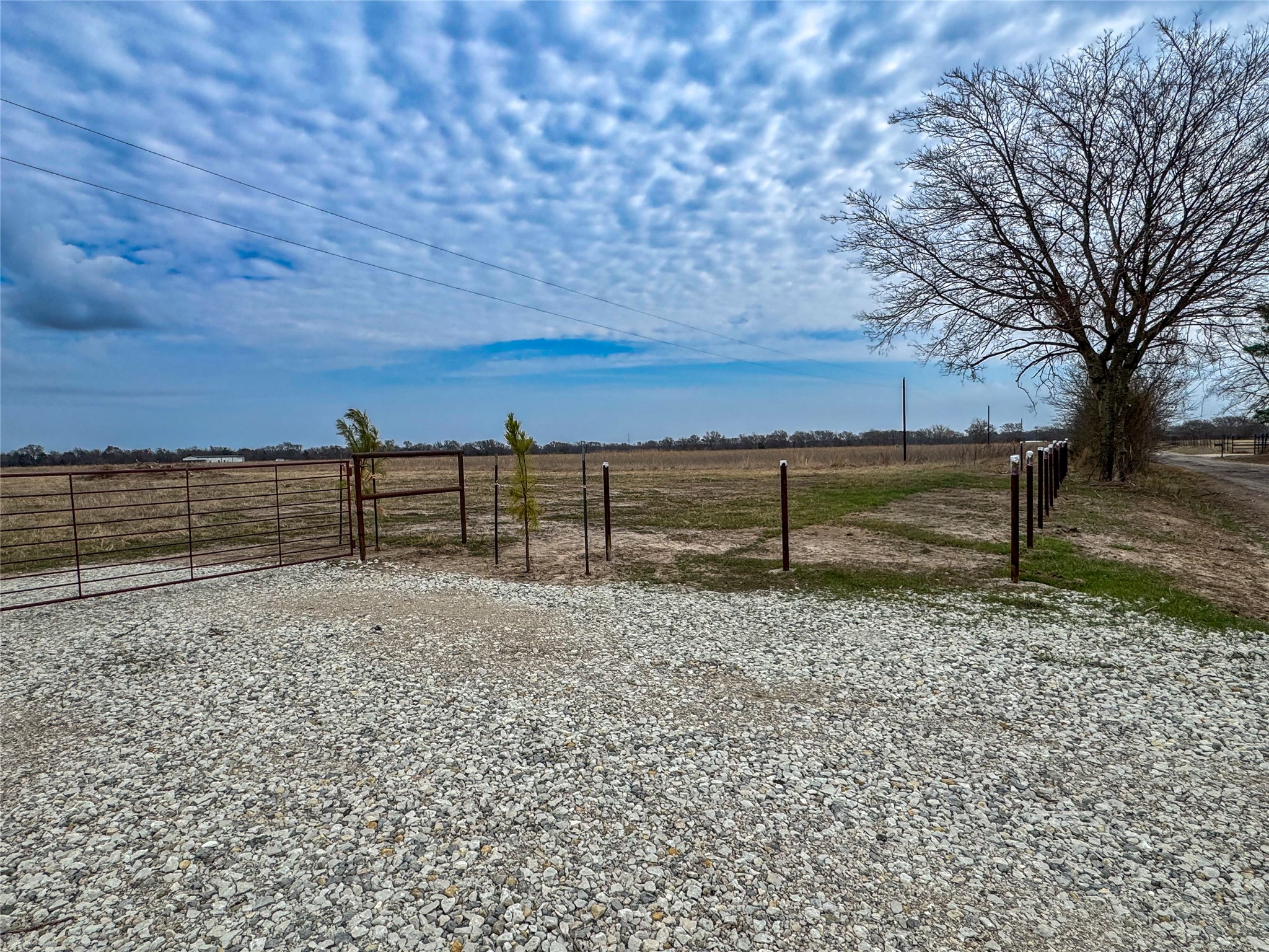 375 County Road 1515 Point TX 75472