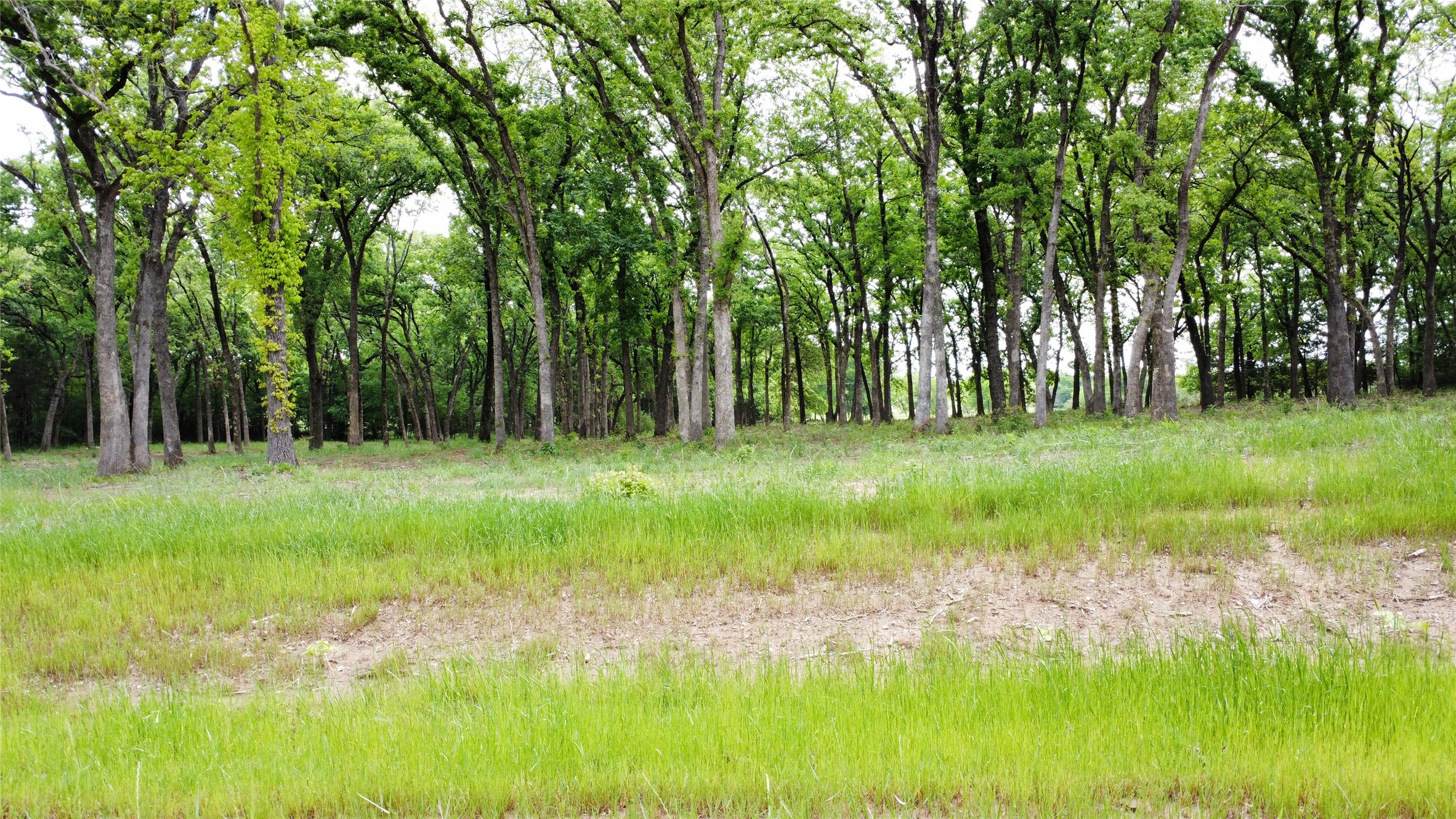 1210 Buck Trail Pottsboro TX 75076