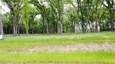 1210 Buck Trail Pottsboro TX 75076