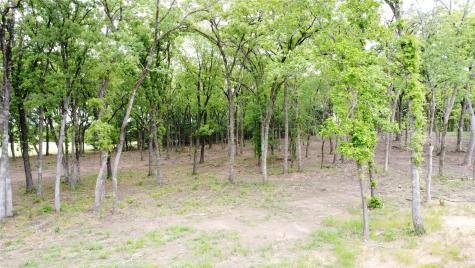 1210 Buck Trail Pottsboro TX 75076