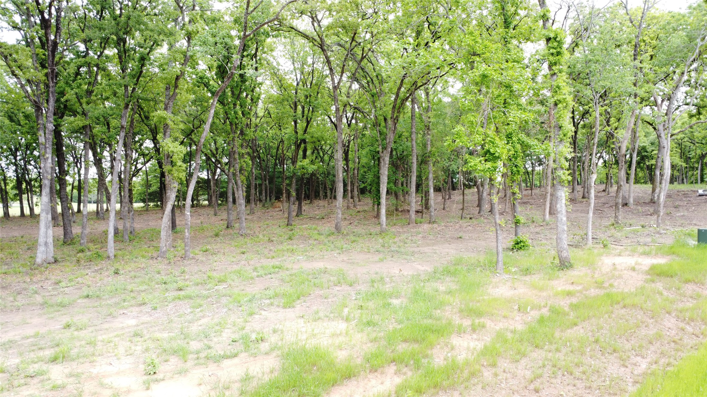 1210 Buck Trail Pottsboro TX 75076