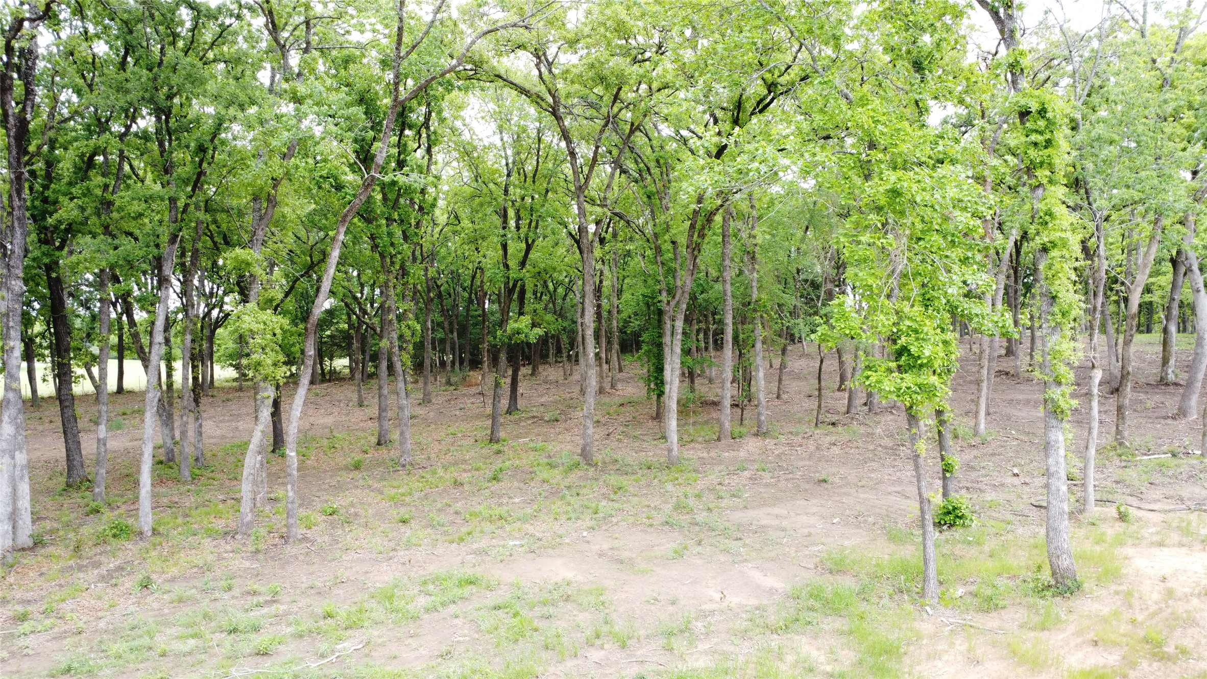 1210 Buck Trail Pottsboro TX 75076